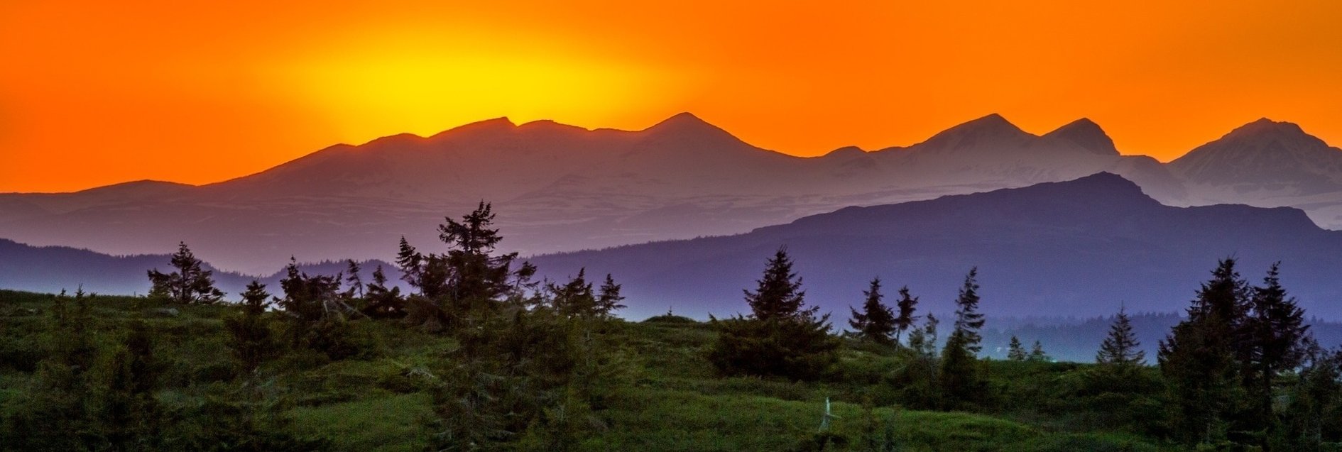 patient_advocate_Sunset-297766-edited.jpg