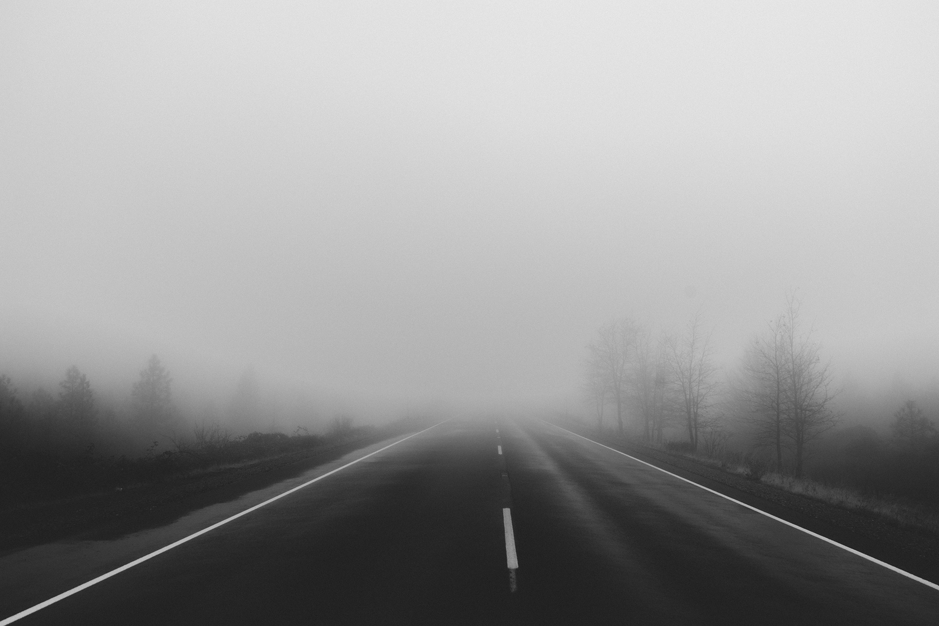 road-fog-foggy-mist.jpg